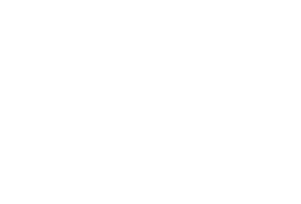 Binnacle Land Surveying